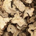 白术的禁忌人群2021 白术的副作用