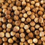 胡荽子的功效与作用 胡荽子有什么功效