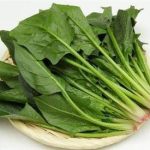 菠菜的功效和作用2021 菠菜的食用禁忌