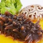 海参有什么功效与作用及禁忌 海参的禁忌人群