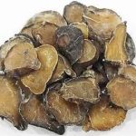 附子有什么功效与作用-附子的功效与作用