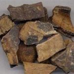 龟版胶的功效 龟版胶的功效与作用