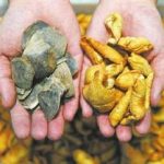 穿山甲的鳞片有什么用？ 穿山甲有什么药用效果