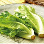吃生菜有什么禁忌 生菜的禁忌事项