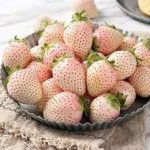 白草莓的功效和作用 白草莓的副作用