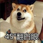 网络流行语科普时间到 土狗基因什么意思？