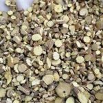 川木通有什么功效 川木通的功效与作用