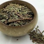 侧柏叶是什么 侧柏叶的功效和作用