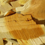 苦木有什么作用 苦木的功效与作用