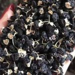 黑枸杞的功效与作用 黑枸杞的五大功效