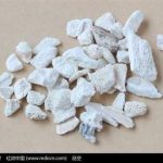 龙骨的选方可以治疗哪些病症 龙骨的选方