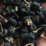 黑枸杞多少钱一斤 2021黑枸杞价格大全