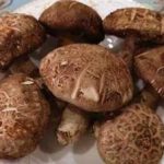 香菇的营养价值2021 香菇的功效和作用