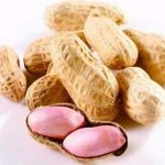 食用花生的功效和作用2021 食用花生的禁忌