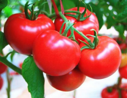 2020减肥水果排行榜前10