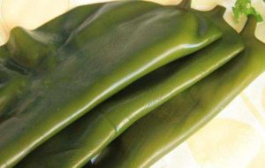 老年人补钙吃什么东西好_健德堂