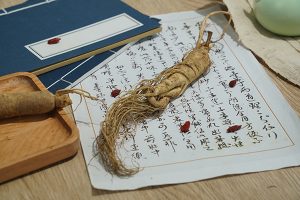 野山参的功效【吃野山参的最佳时间】