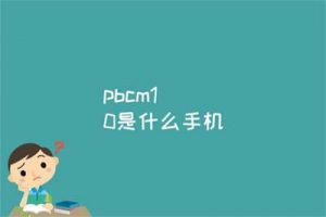 pbcm10 是什么手机型号？是梦境版吗