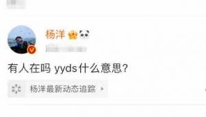 最近老看见yyds什么意思？网络用语yyds是什么梗(图文)