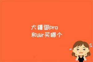 大疆御pro和air买哪个
