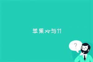 苹果xr与11的区别是什么？苹果 xr 和 11 哪个值得买