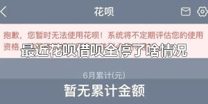 最近花呗借呗全停了啥情况 花呗借呗会无缘无故被关吗