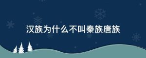 汉族为什么不叫秦族唐族