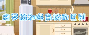 抱罗粉和海南粉的区别
