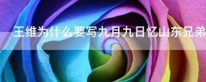 王维为什么要写九月九日忆山东兄弟背景是什么