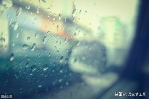 雨中的故事作文（历年中考满分作文欣赏：雨中的风景）