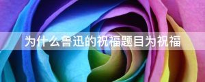 为什么鲁迅的祝福题目为祝福