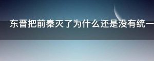 东晋把前秦灭了为什么还是没有统一全国