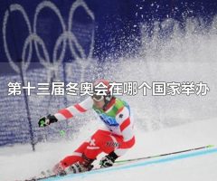 第十三届冬奥会在哪个国家举办 第十三届冬奥会在美国举办