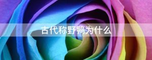 古代称野鸭为什么