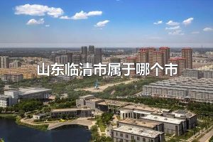 山东临清市属于哪个市 山东临清市的行政区划