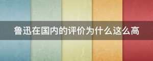 鲁迅在国内的评价为什么这么高