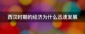西汉时期的经济为什么迅速发展