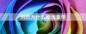 刘欣为什么能当皇帝