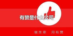 有赞是什么公司 有赞有哪些主要产品