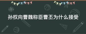 孙权向曹魏称臣曹丕为什么接受