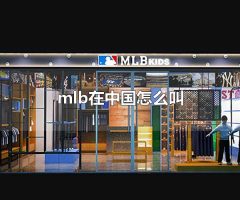 mlb在中国怎么叫 mlb在中国也称为mib