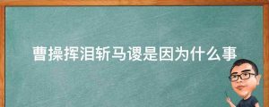 曹操挥泪斩马谡是因为什么事