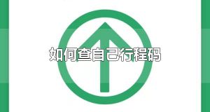 如何查自己行程码 支付宝和微信可以查自己行程码