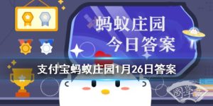 家中购置的酒精，存放在哪里更安全 小鸡庄园今天答案1月26日