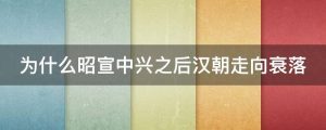为什么昭宣中兴之后汉朝走向衰落