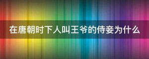 在唐朝时下人叫王爷的侍妾为什么