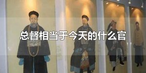 总督相当于今天的什么官 总督官大吗？