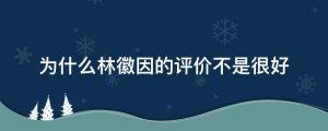 为什么林徽因的评价不是很好