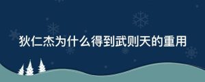 狄仁杰为什么得到武则天的重用