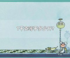 1千克等于多少斤? 千克和斤与其他质量单位的换算